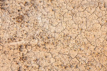 Brown dry soil or cracked ground texture background.