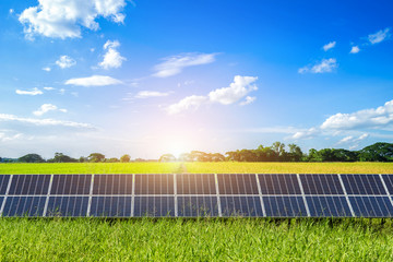 Solar panels on Cornfield and Rice Golden yellow landscape against blue sky with clouds.