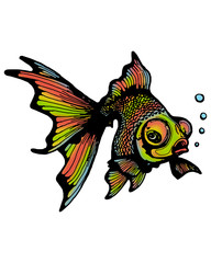  Rainbow fish