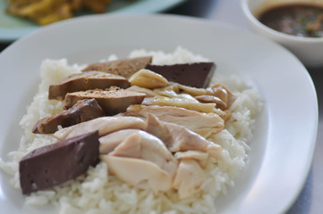 Hainanese chicken rice or Singapore chicken rice or  thai chicken rice