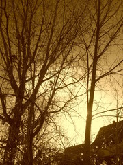 abendrot, himmel, sonne, cloud, sonnenaufgang, orange, abend, landschaft, natur, baum, licht, rot, winter, schön, sommer, morgen, nacht, horizont, dawn, blau, gelb