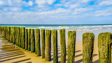 Gordijnen Wooden Posts of a beach erosion protection system along the beach at the town of Vlissingen in Zeeland Province in the Netherlands © hpbfotos