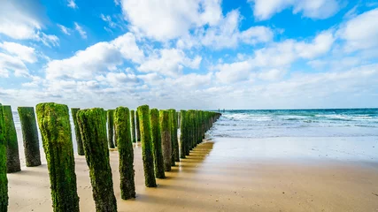  Wooden Posts of a beach erosion protection system along the beach at the town of Vlissingen in Zeeland Province in the Netherlands © hpbfotos