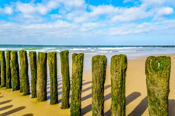 Foto op Plexiglas Wooden Posts of a beach erosion protection system along the beach at the town of Vlissingen in Zeeland Province in the Netherlands © hpbfotos