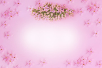 Obraz na płótnie Canvas Bouquet of little pink flowers on pink background