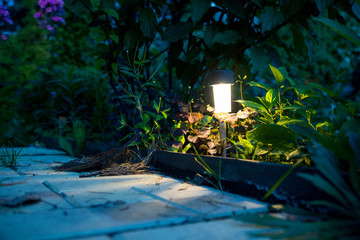 Outdoor lights in the forest park. Selective focus. Shallow depth of field.