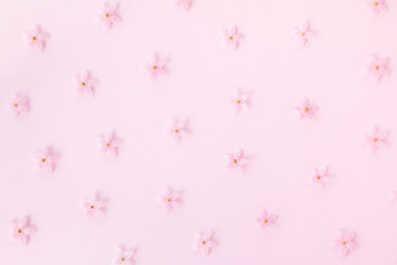 Little pink flower pattern on pink background
