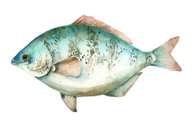 Sea watercolor fish - 233314303