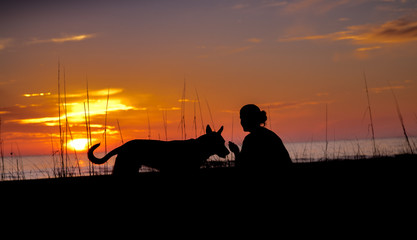 Fototapeta na wymiar love at sunset with dog and owner