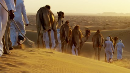 Aerial drone of Arab males in traditional dress leading camels through desert