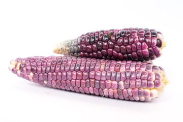 Purple corn isolated on  white background, Healthy food product