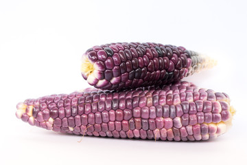 Purple corn isolated on  white background, Healthy food product