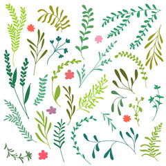 Set Plants Color vector  