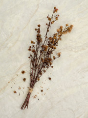 Top view bouquet of dried and wilted red-brown Gypsophila flowers on matt marble background