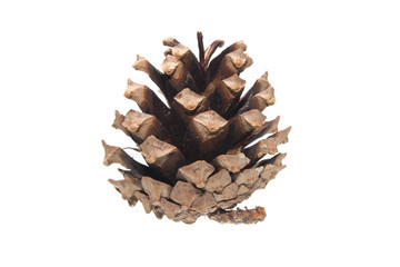 cone isolated on white background