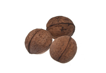 nut isolated on white background