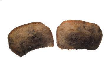 spoiled bread isolated on white background