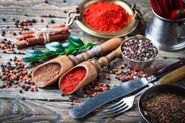 Spices and condiments for food