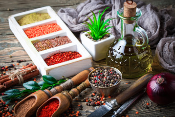 Spices and condiments for food