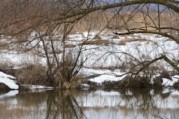 Obraz premium lake in winter