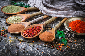 Spices and condiments for food