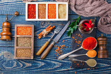 Spices and condiments for food