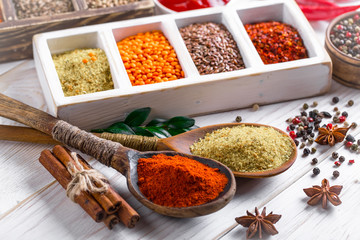Spices and condiments for food