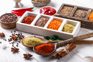 Spices and condiments for food