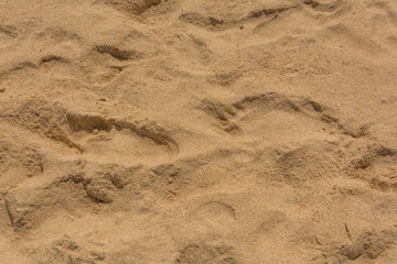 Full frame shot of sand texture on beach in summer sun.