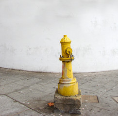 Vintage yellow fire hydrant on the street of city in front of a white grunge texture wall