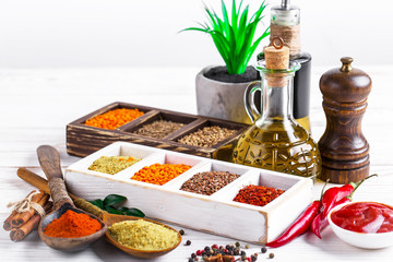 Spices and condiments for food