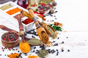 Spices and condiments for food