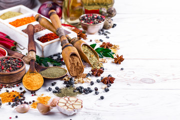 Spices and condiments for food