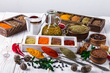 Spices and condiments for food