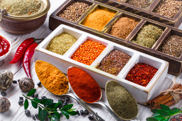 Spices and condiments for food