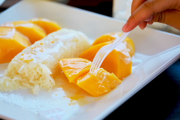 mango and sticky rice,Thai style tropical dessert, glutinous rice eat with mangoes