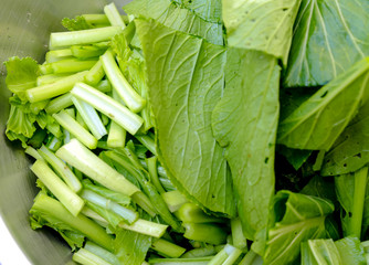 green Choy leafy vegetables background