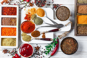 Spices and condiments for food