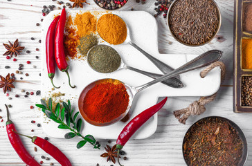 Spices and condiments for food