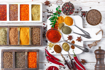 Spices and condiments for food