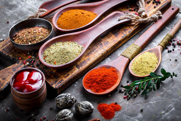 Spices and condiments for food