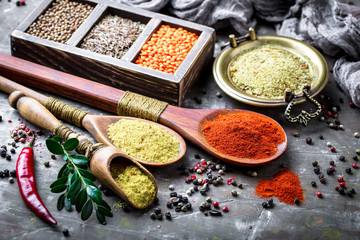 Spices and condiments for food