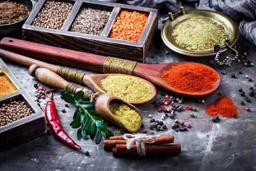 Spices and condiments for food