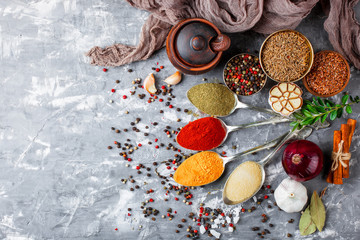 Spices and condiments for food