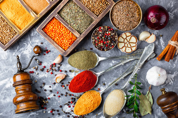 Spices and condiments for food