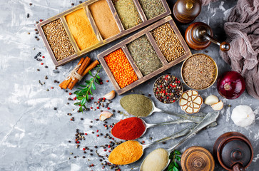 Spices and condiments for food