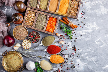 Spices and condiments for food