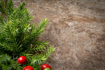 Branches arborvitae, Juniper branches on wood Christmas background