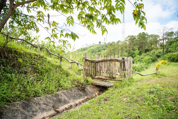 Fototapeta premium wooden bridge over a river