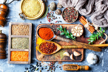 Spices and condiments for food